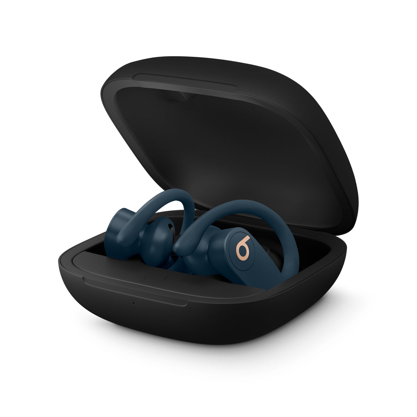 Beats Powerbeats Pro - True Wireless Earbuds